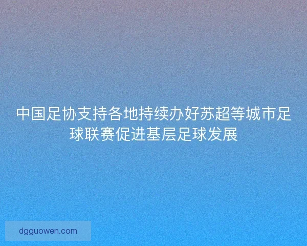 中国足协支持各地持续办好苏超等城市足球联赛促进基层足球发展