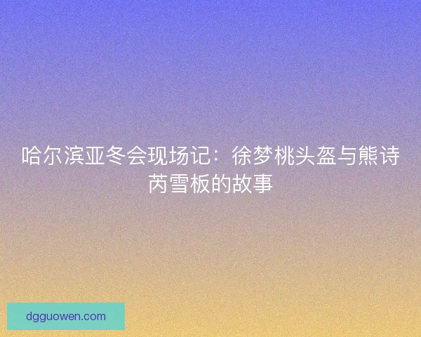 哈尔滨亚冬会现场记：徐梦桃头盔与熊诗芮雪板的故事